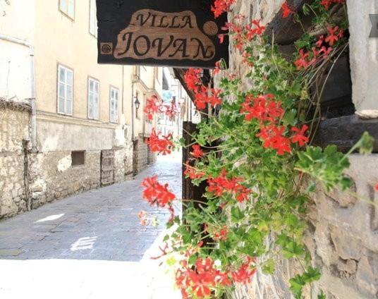 Villa Jovan Ohrid Eksteriør bilde